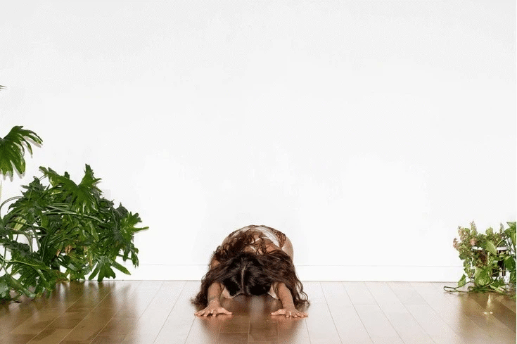 misfitstudio-at-home-toning-workout-moves_5.webp