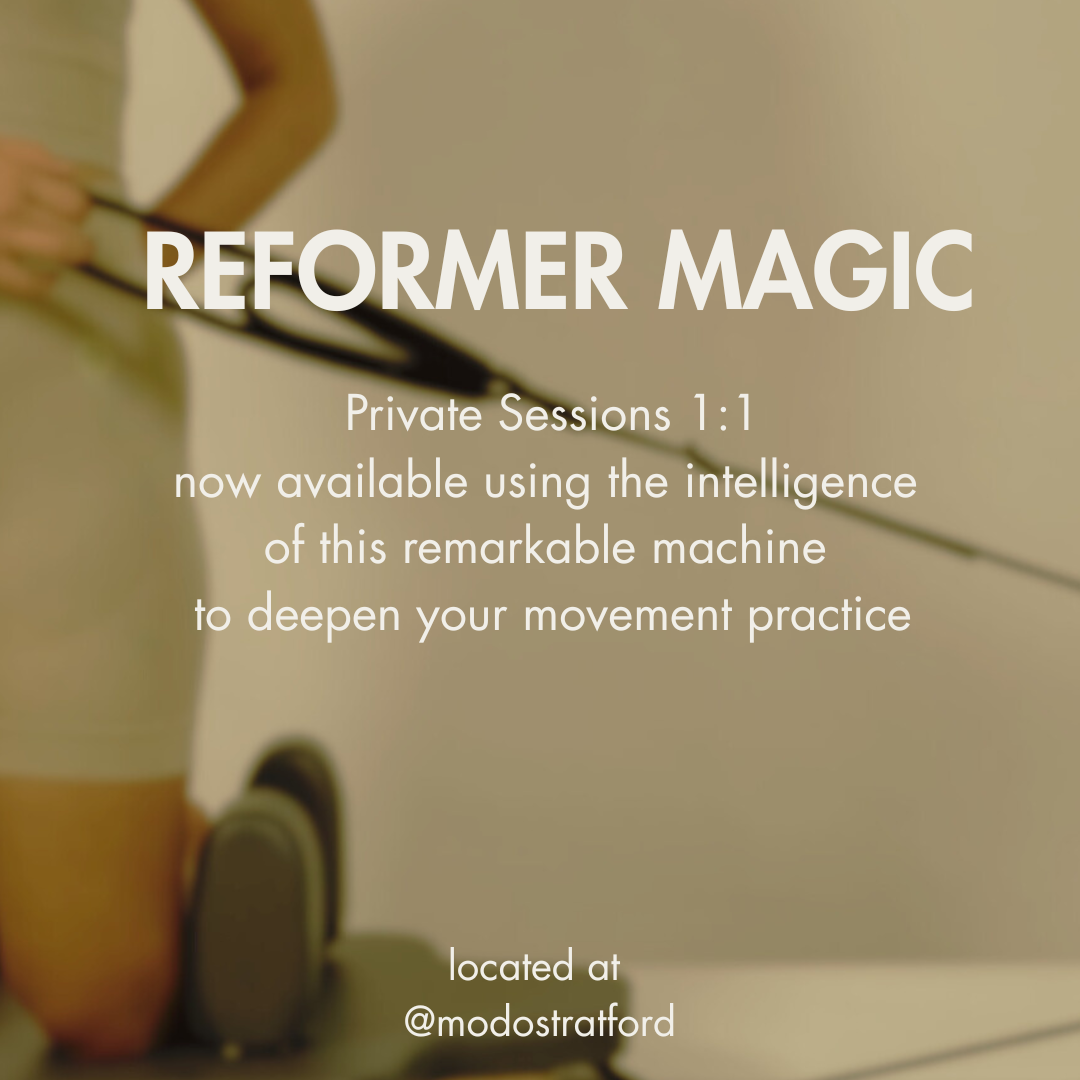 REFORMER