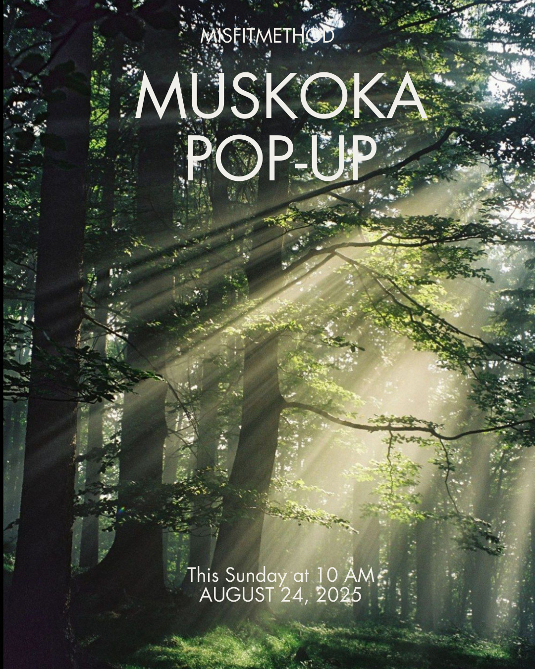 ✨🌲 MUSKOKA POP-UP 🌲✨